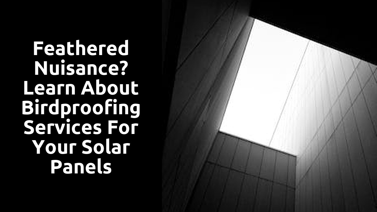 Feathered Nuisance? Learn About Birdproofing Services for Your Solar Panels